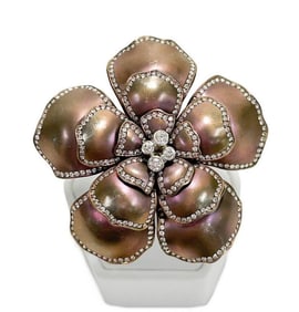 18k White Gold Diamond and Titanium Ring