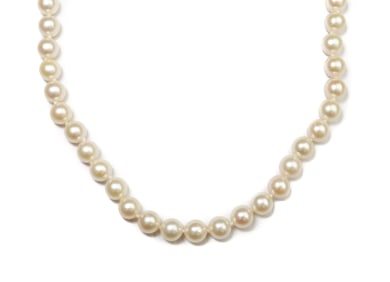 14k Yellow Gold and Cultured Pearl Single Strand Necklace