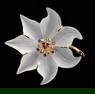 14k Yellow Gold Carved Rock Crystal and Ruby Floral Brooch