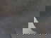 item-205800355=10