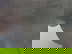 item-205800355=11