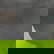 item-205800355=12