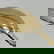item-209050878=5