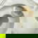 item-209050951=10
