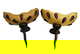 item-209051209=1