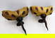item-209051209=3
