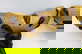 item-209051209=4