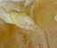 item-209051211=12