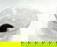 item-209051252=2