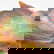 item-209051288=6