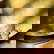 item-209051504=7