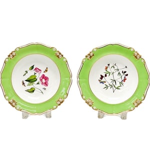 Pair Royal Crown Derby England Porcelain Botanical Deep Well Dinner Plates c1820