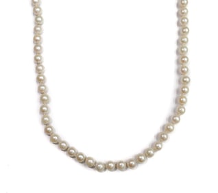 14k Yellow Gold and Cultured Pearl Single Strand Necklace