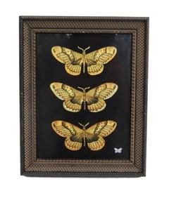 Anna Weatherley Hand Painted Porcelain Yellow Butterfly Plaque Framed Ltd Ed