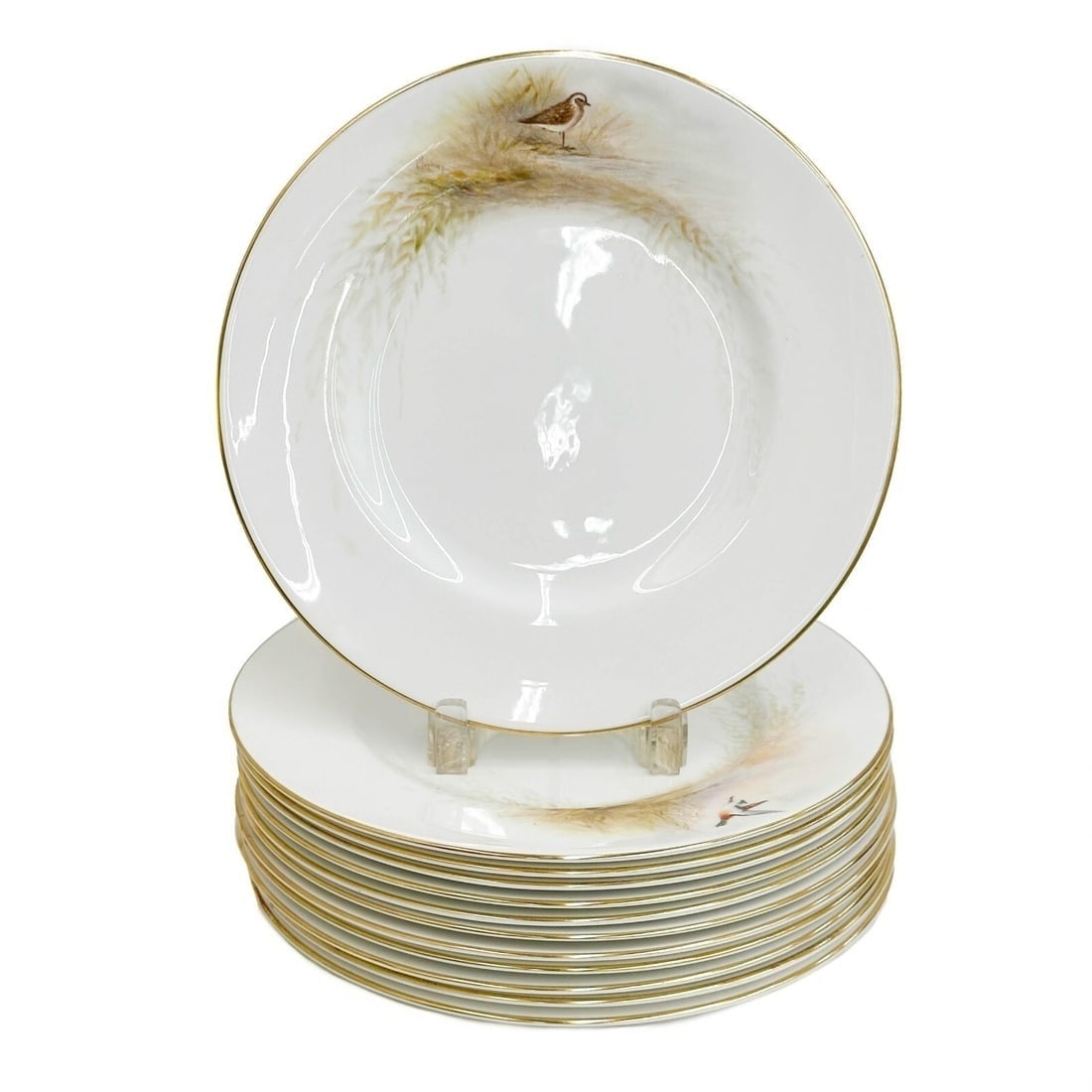 12 Royal Worcester England Hand Painted Porcelain Dinner Plates Birds Maybury: 12 Royal Worcester England Hand Painted Porcelain Dinner Plates, 1952. A white ground decorated with various birds to the edge, artist signed Maybury, each bird identified to the underside. Royal Worc