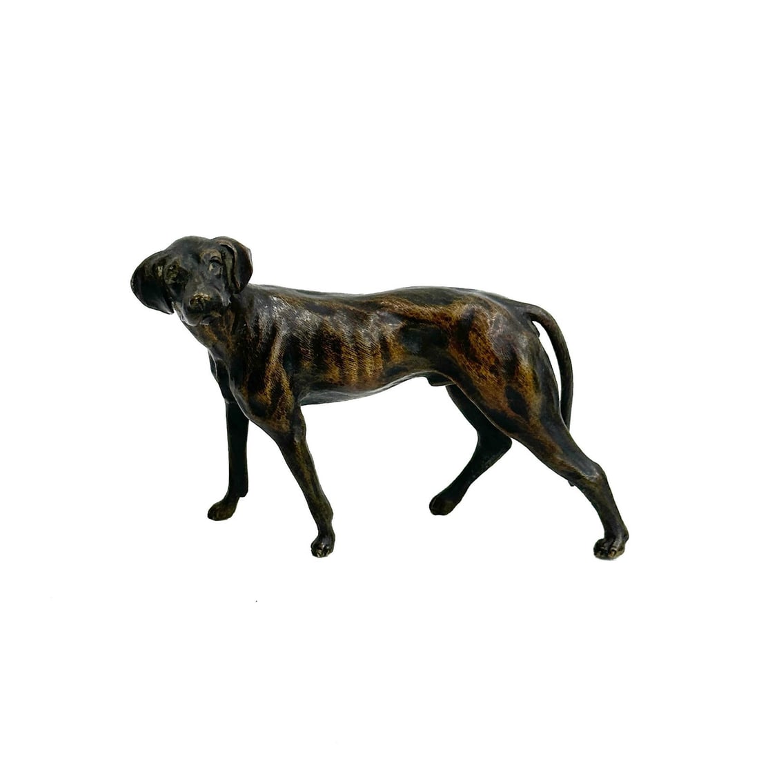 Austrian Hunting Dog Bronze Figurine circa 1900 (1 of 5)