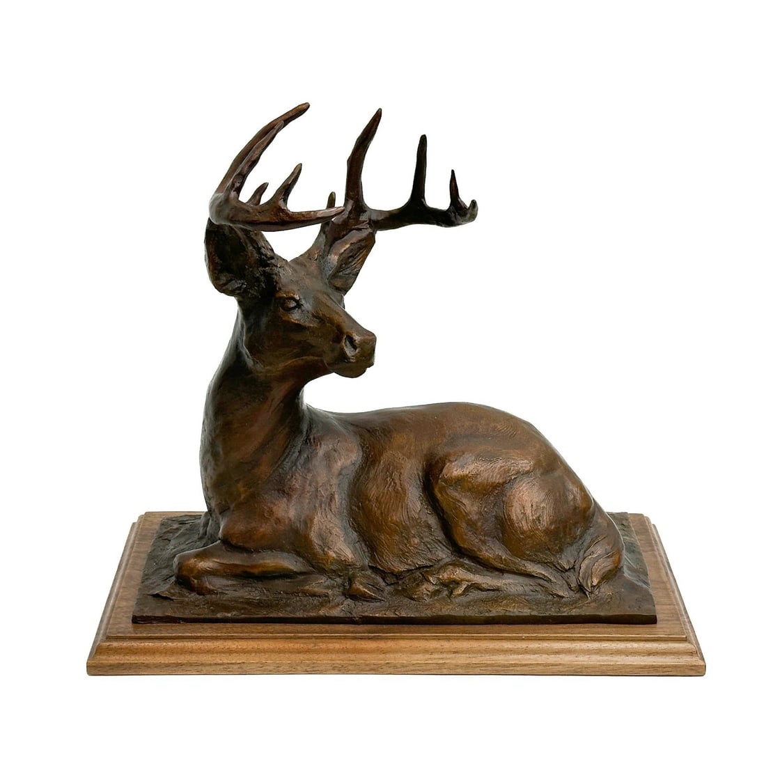 Sandy Scott (American b. 1943) Bronze Sculpture Seated Buck Wood Base Ltd Ed/50: Sandy Scott (American b. 1943) Bronze Sculpture Seated Buck on Wood Base. Depicts a seated buck, artist signed and numbered out of 50 to the lower edge. Mounted on a rectangular wood base Weight:appro