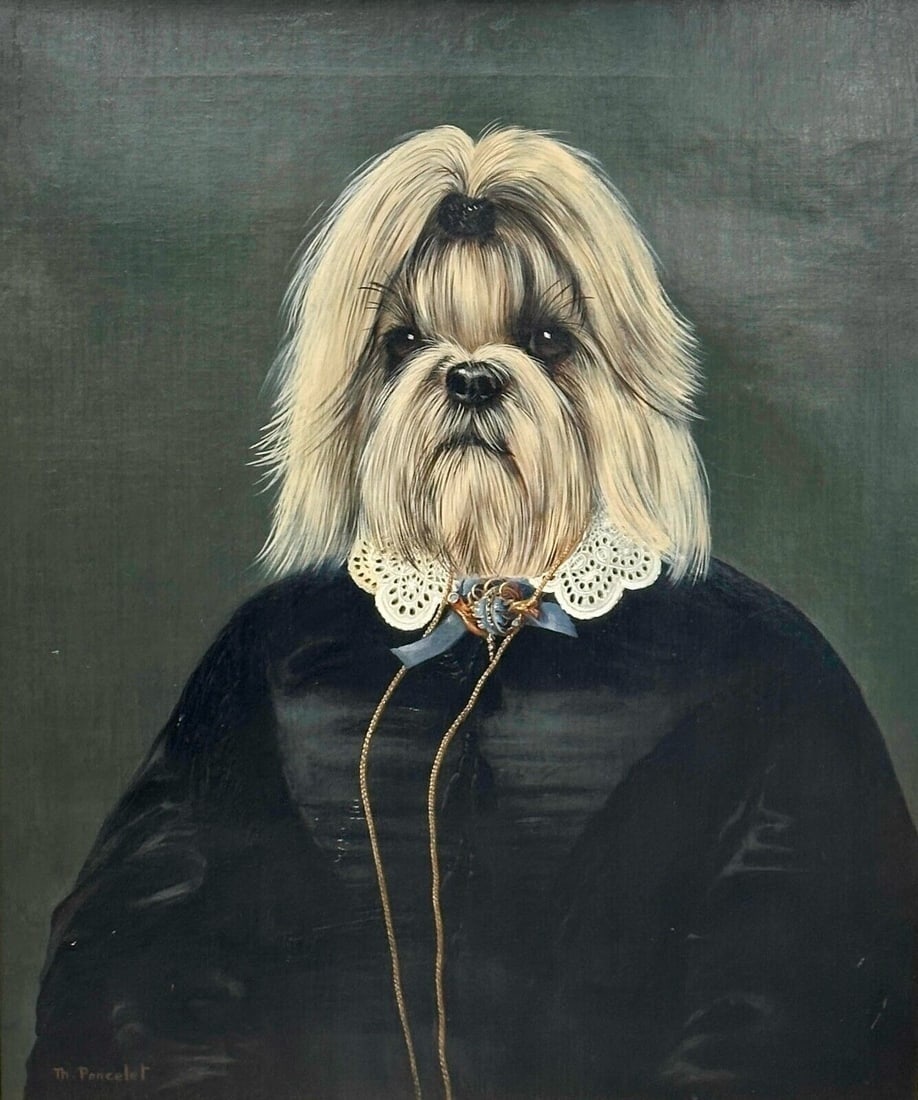 Thierry Poncelet Anthropomorphic Portrait Shih Tzu Dog Oil on Canvas Framed: Thierry Poncelet (Belgian, b. 1946) anthropomorphic portrait of a Shih Tzu dog. Originally earlier oil on canvas painting depicting a portrait with a lace collar. In typical Poncelet fashion, the port