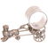 Victorian Silverplate Napkin Ring