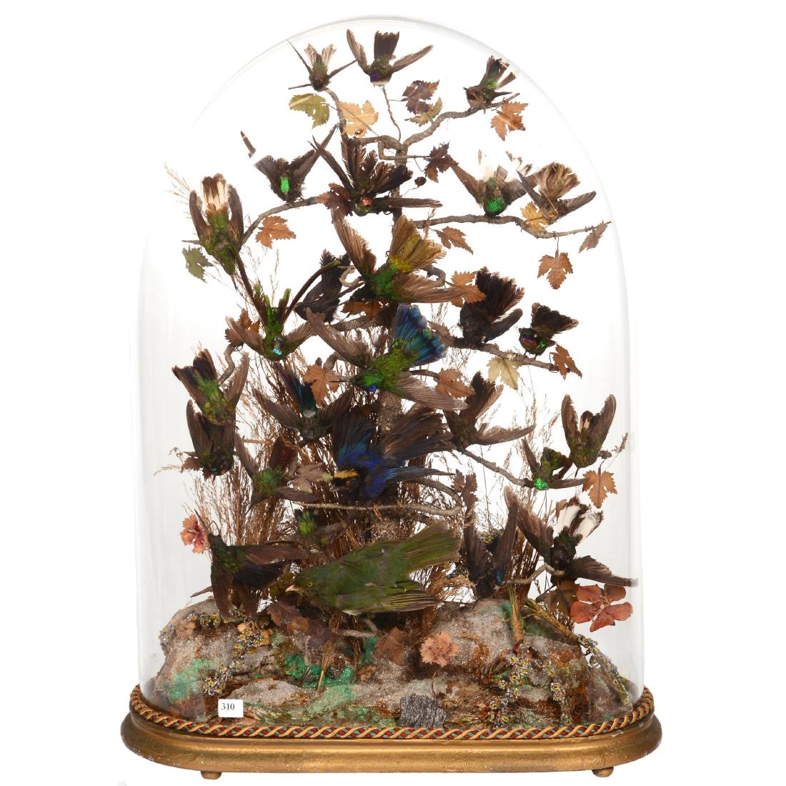 Early Victorian Glass Dome (1 of 4)