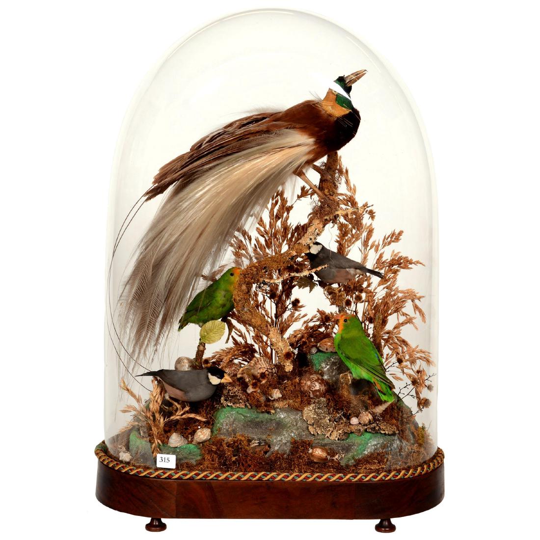 Early Victorian Glass Dome (1 of 4)