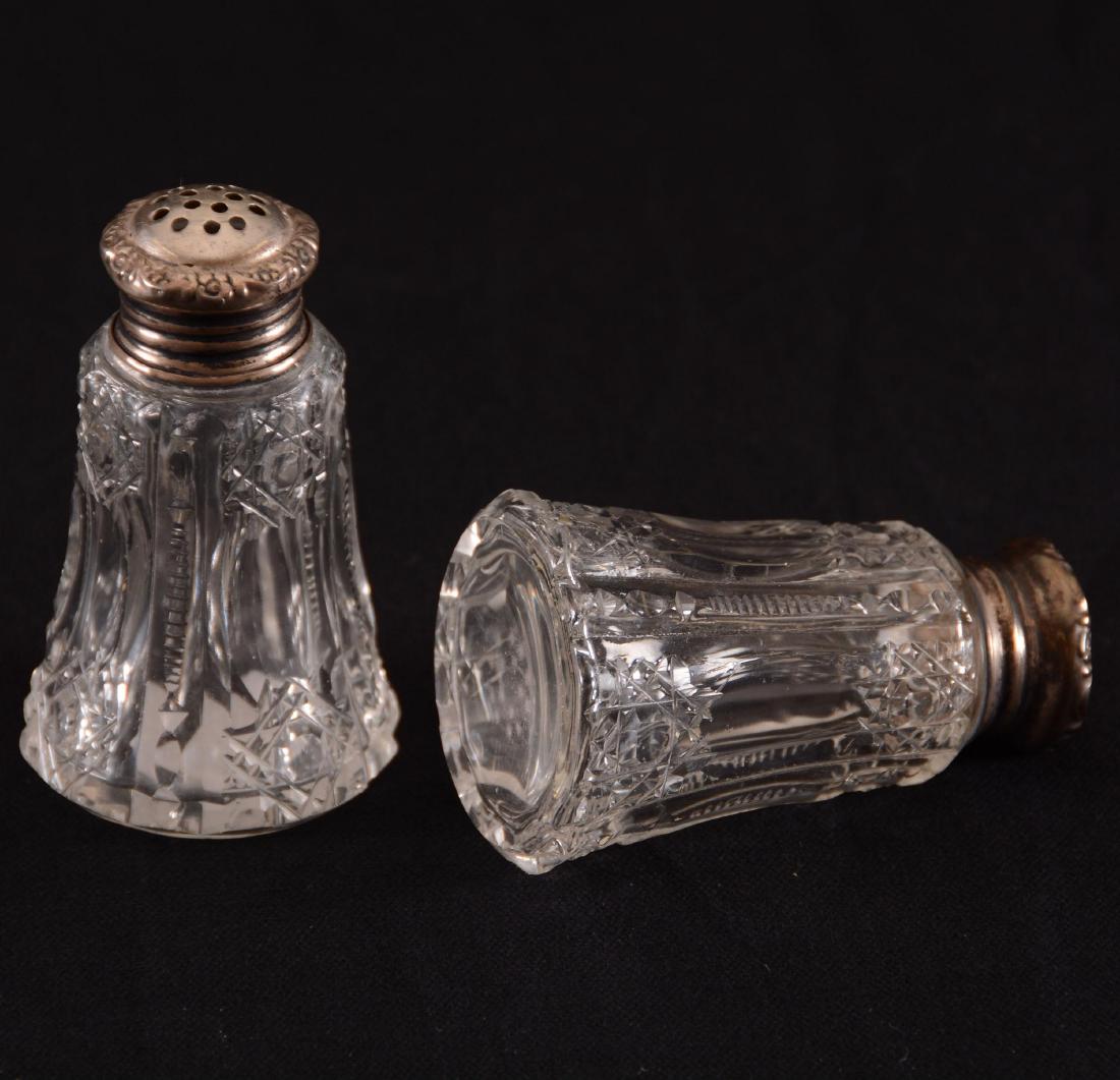 Salt & Pepper Shakers - BPCG (1 of 1)