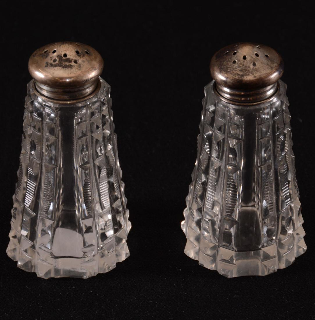 Salt & Pepper Shakers - BPCG (1 of 3)