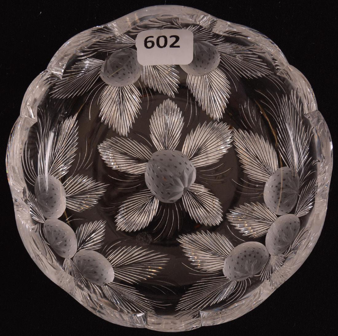 Nappy - BPCG (1 of 1)