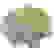 item-62705561=3
