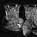 (6) Punch Cups, Hobstar & Star Motif - 3