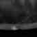 Loving Cup, Engraved Waterlily Design - 5