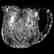 Cider Pitcher, Libbey, Imperial Pattern
