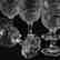 (10) Wines, Rock Crystal, Medallion Design - 4