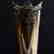 Vase, Engraved Floral, Scroll & Garland Motif - 4