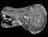 Tankard, Hobstar, Nailhead Diamond, Strawberry Diamond - 3