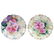 (2) Plates, Marked R.S. Prussia 8.5"
