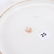 Fantastic Center Bowl, Marked R.S. Prussia 15" - 4