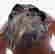 item-81436605=2
