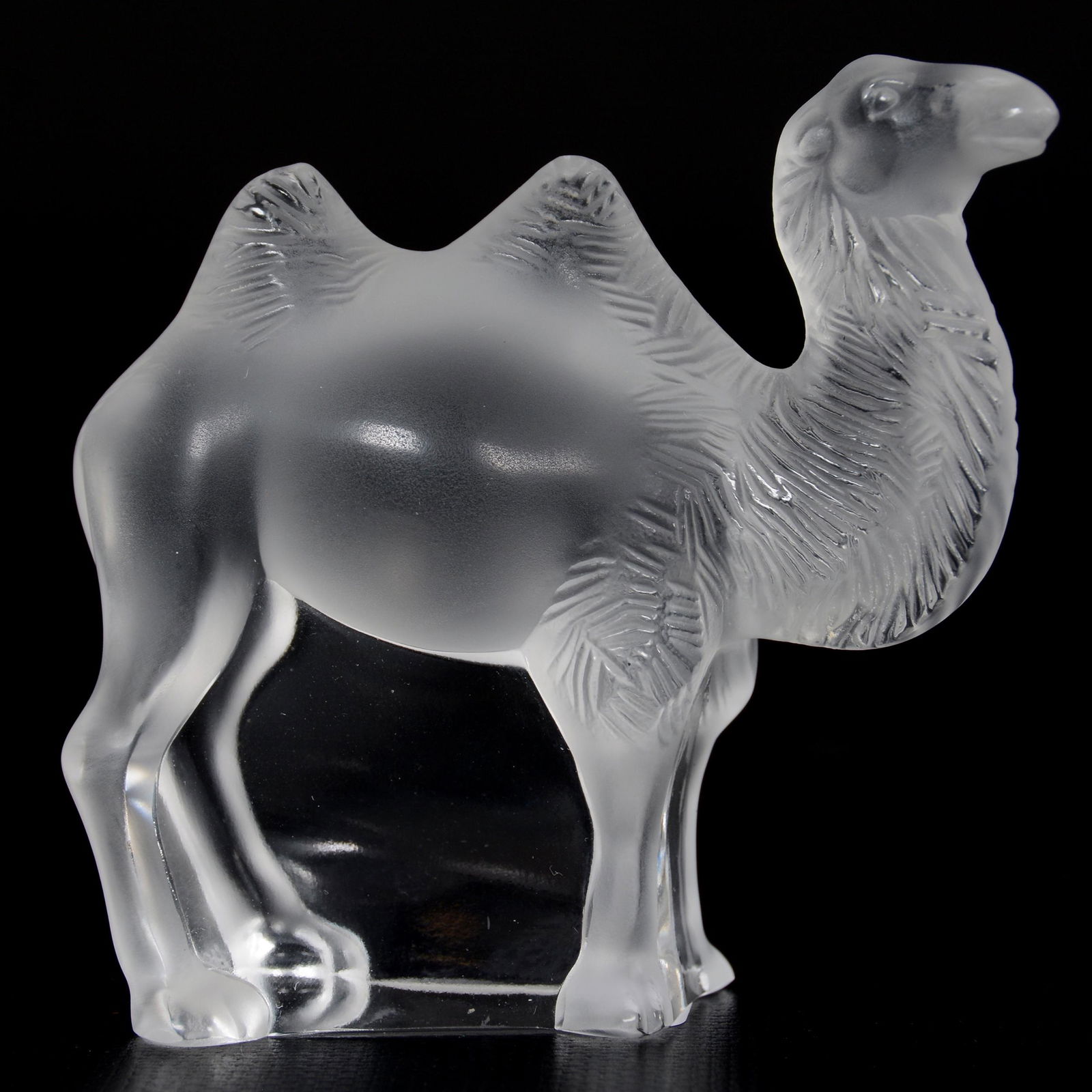 Paperweight Signed Lalique France, Tangier Camel (1 of 3)