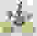 item-97862932=3