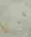 item-99426238=4