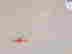 item-112639936=4