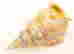 item-119537115=2