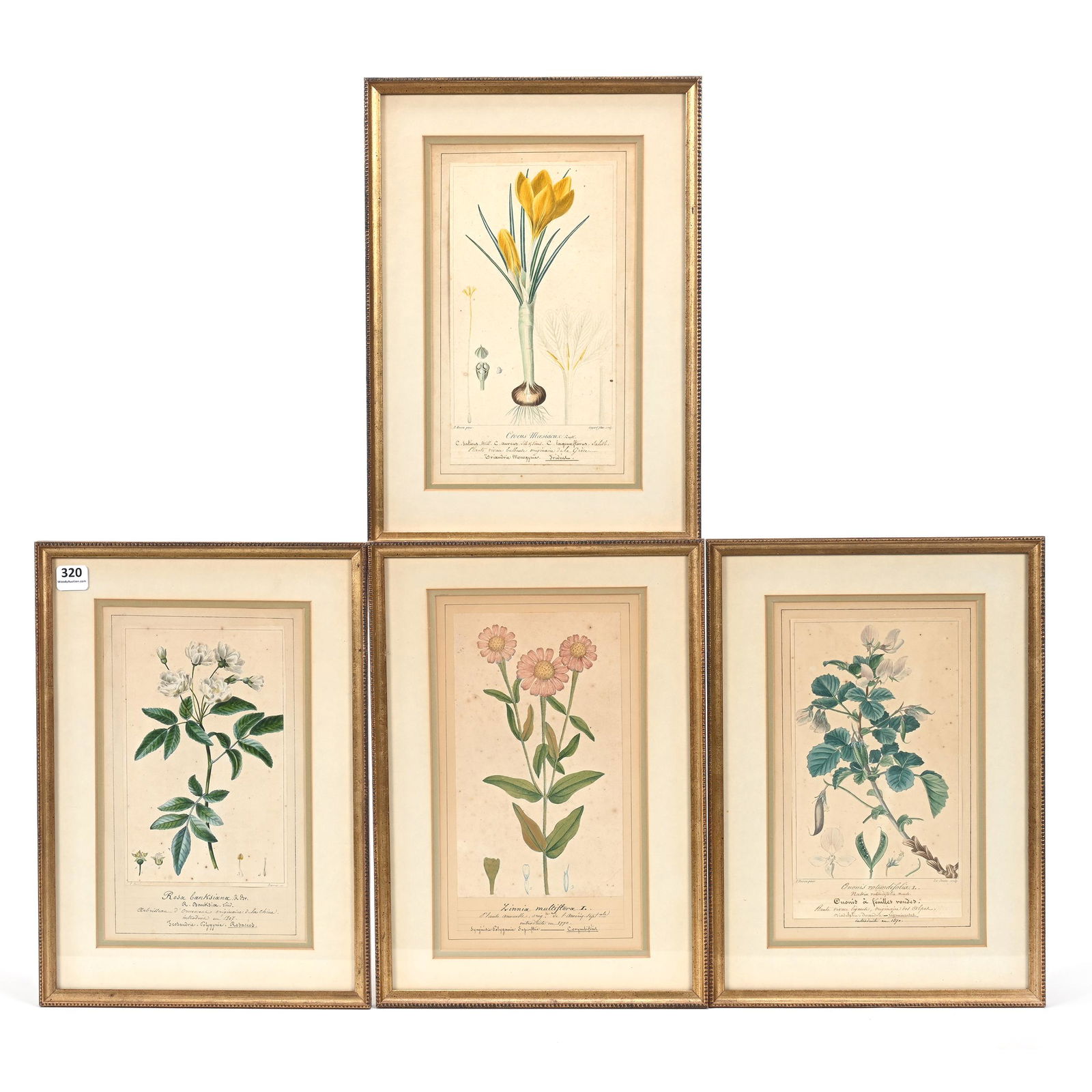 (4) Framed Lithograph Prints By Artist Pancrace Bessa (1 of 5)