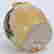 item-129659371=5