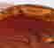 item-131284419=4