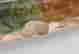 item-131284536=3