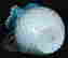 item-132621651=3