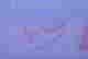item-134886603=4