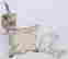 item-136153781=3